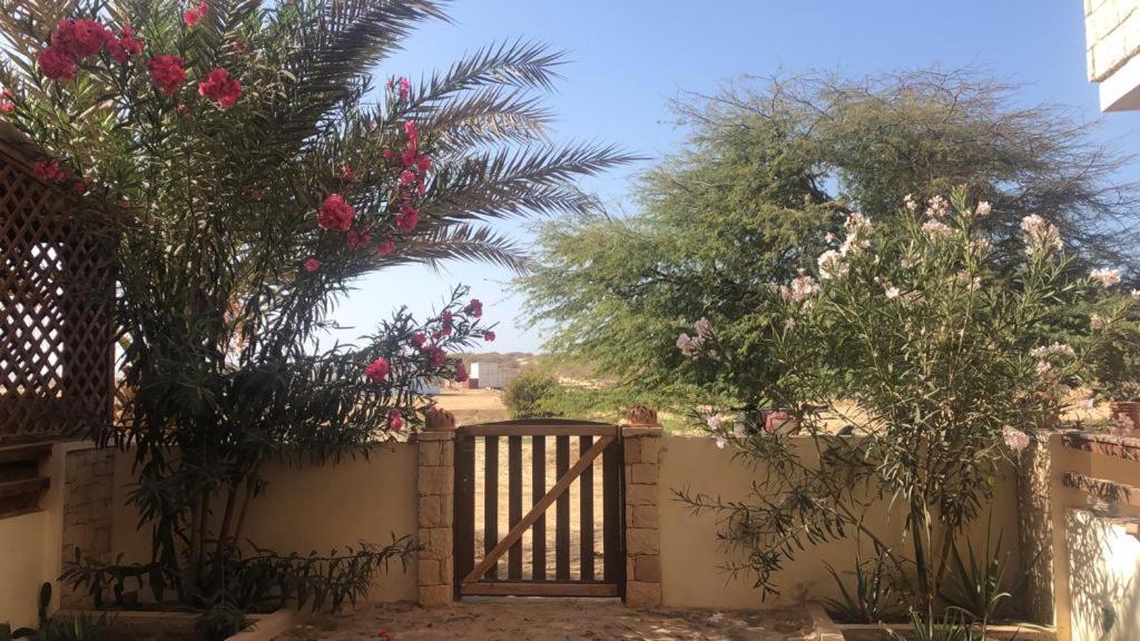 Attico Residence Costa Do Sol Σαλ Ρέι Εξωτερικό φωτογραφία